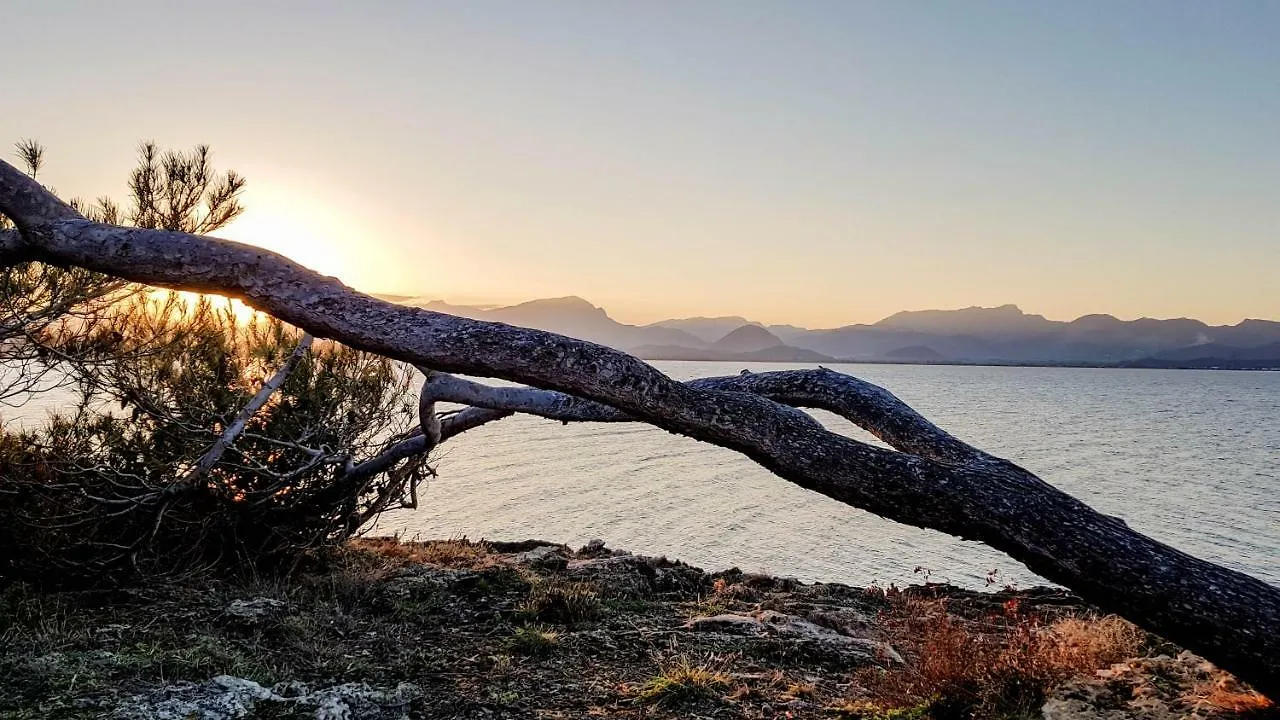 Es Fasser Alcudia  Semesterbostad Alcudia (Mallorca)