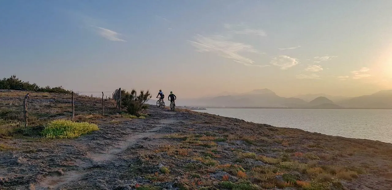 Es Fasser Alcúdia